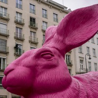 Pink Rabbit!